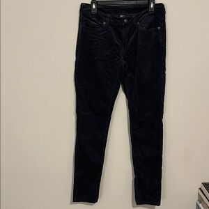 Patagonia velour jeans